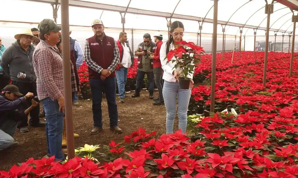 Impulso al campo de Tlaquepaque tendrá más de 6.5 mdp en 2026