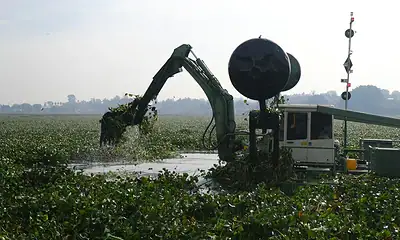 Arrancan trabajos de desazolve en Presa Las Pintas, en Tlaquepaque
