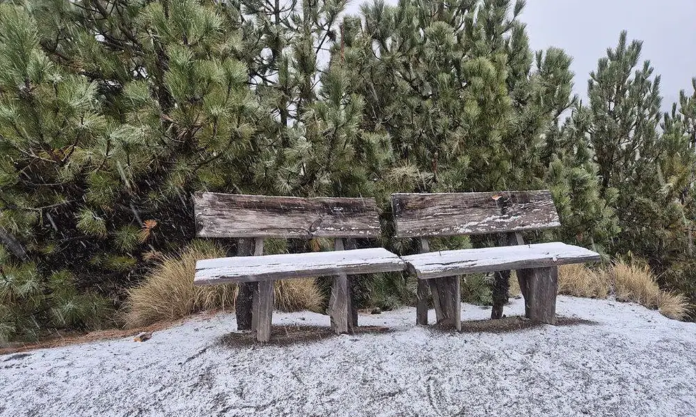 Cae nieve en Parque Nacional Volcán Nevado de Colima; activan operativo