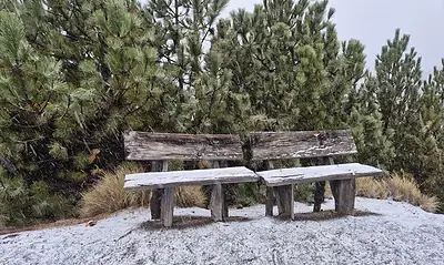 Cae nieve en Parque Nacional Volcán Nevado de Colima; activan operativo
