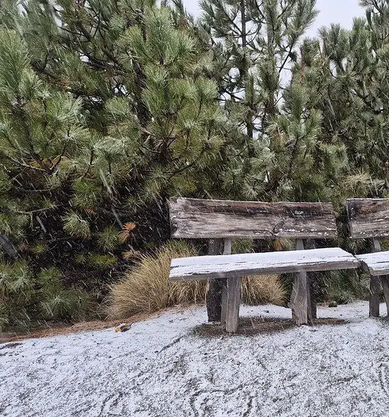 Cae nieve en Parque Nacional Volcán Nevado de Colima; activan operativo
