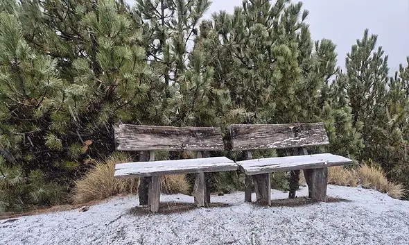Cae nieve en Parque Nacional Volcán Nevado de Colima; activan operativo