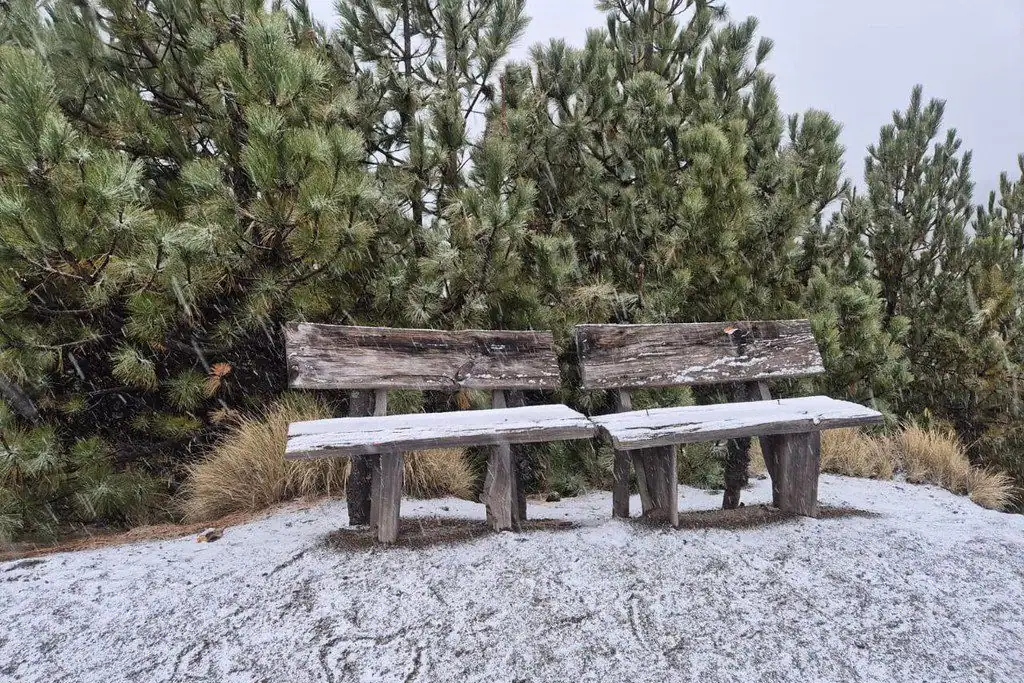 Cae nieve en Parque Nacional Volcán Nevado de Colima; activan operativo