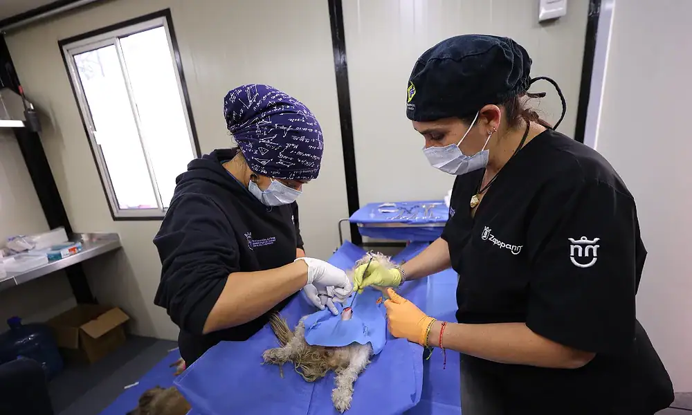 Zapopan cuenta con un nuevo quirófano móvil para animales de compañía
