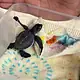 Rescatan cría de tortuga marina en Tlajomulco; habría llegado oculta en una maleta