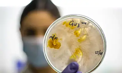 Jalisco, segundo lugar nacional en solicitud de patentes durante 2025