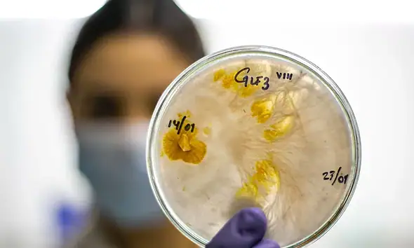 Jalisco, segundo lugar nacional en solicitud de patentes durante 2025