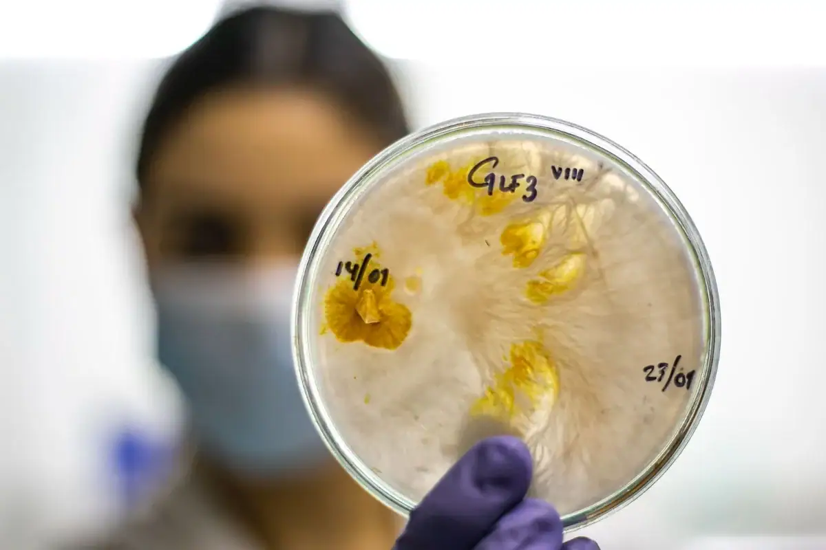 Jalisco, segundo lugar nacional en solicitud de patentes durante 2025