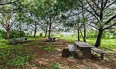 Tribunal ratifica control estatal sobre predio en Colomos III y extingue litigio