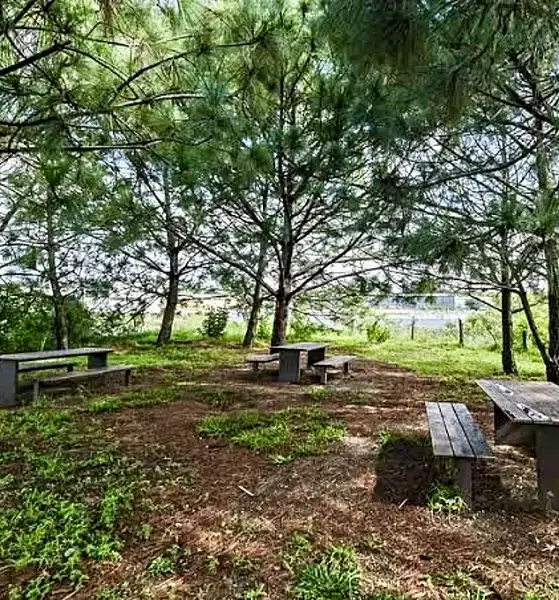 Tribunal ratifica control estatal sobre predio en Colomos III y extingue litigio