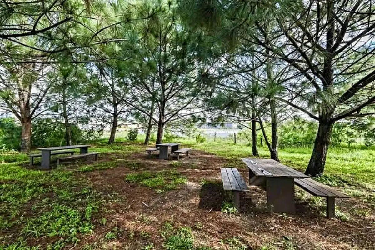 Tribunal ratifica control estatal sobre predio en Colomos III y extingue litigio