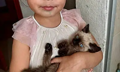 Esterilización y vacunas gratis para mascotas en Tlaquepaque