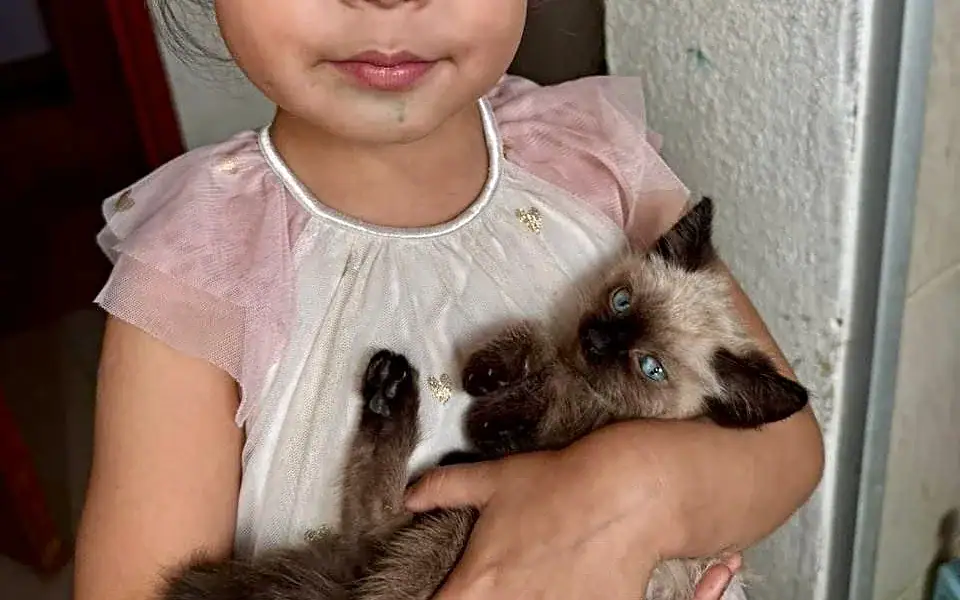 Esterilización y vacunas gratis para mascotas en Tlaquepaque