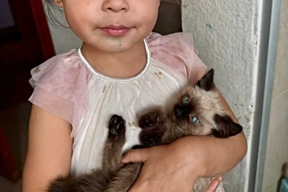 Esterilización y vacunas gratis para mascotas en Tlaquepaque