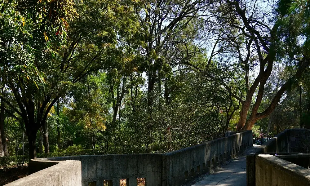 Bosque Urbanos se preparan para la Semana Santa