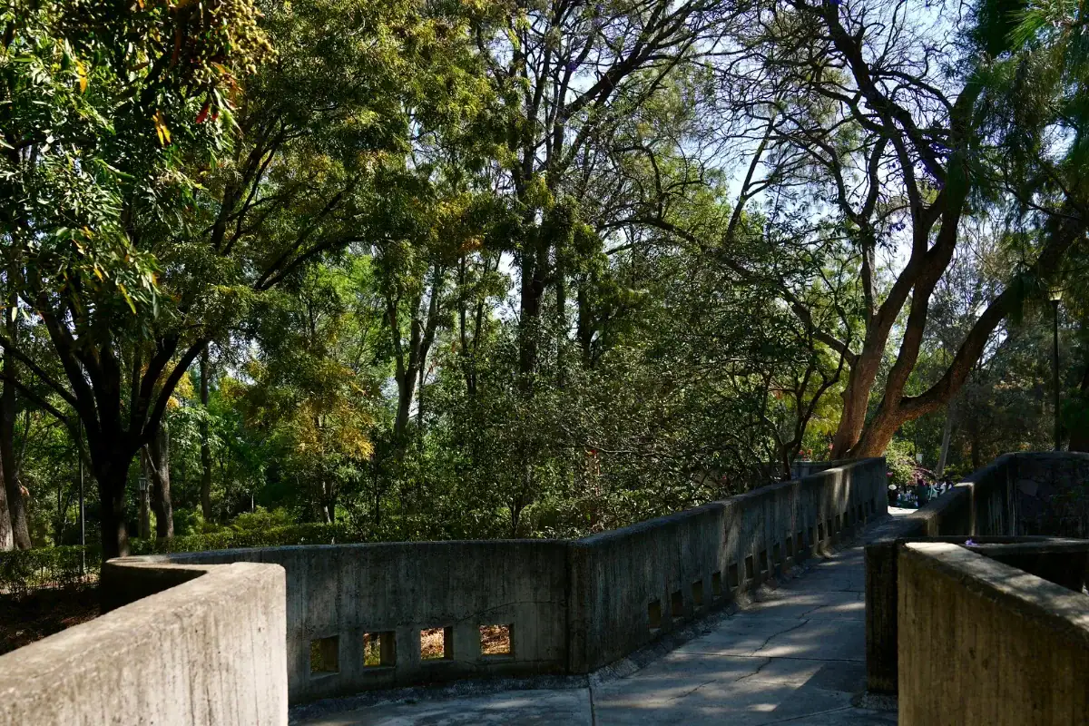 Bosque Urbanos se preparan para la Semana Santa