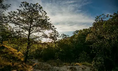 Tan solo durante Semana Santa se esperan 40 mil turistas en el Bosque de La Primavera