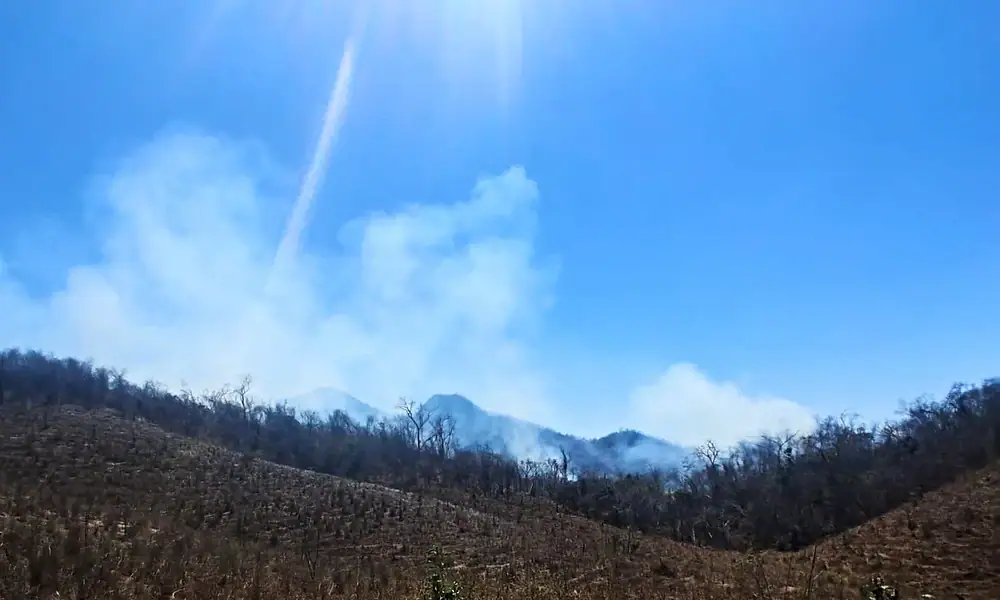 Combaten incendio forestal en Cabo Corrientes, avance del 50%