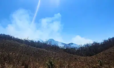 Combaten incendio forestal en Cabo Corrientes, avance del 50%