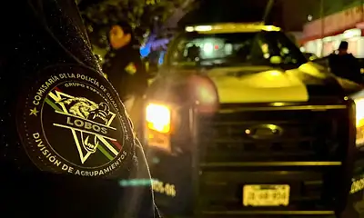 La Policía de Guadalajara informó la detención de 281 personas