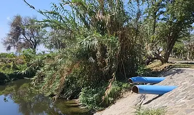 Tlajomulco descarta integrarse al Siapa