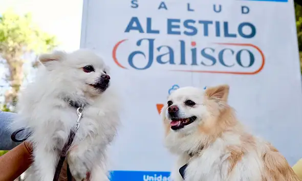 Jalisco inicia campaña 2026 de vacunación antirrábica y esterilización canina y felina