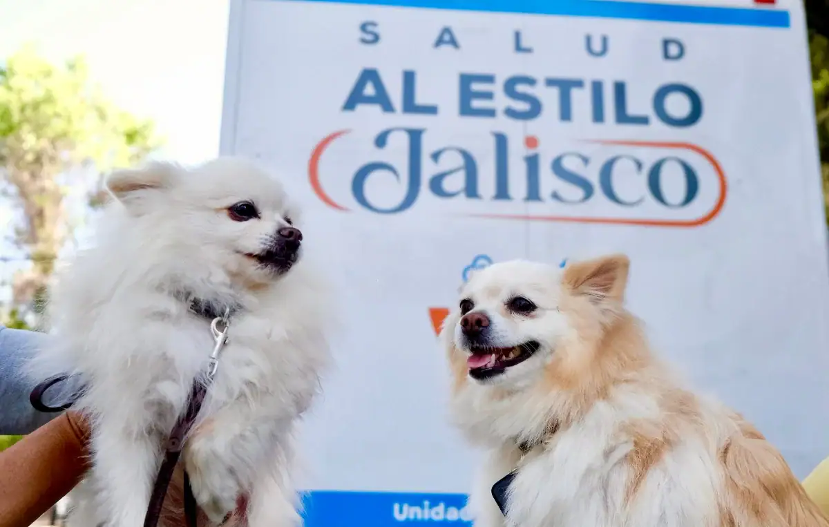 Jalisco inicia campaña 2026 de vacunación antirrábica y esterilización canina y felina