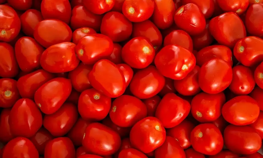 Inflación anual en México desacelera a 4.53% en primera quincena de abril