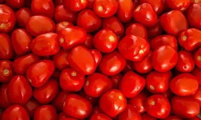 Inflación anual en México desacelera a 4.53% en primera quincena de abril