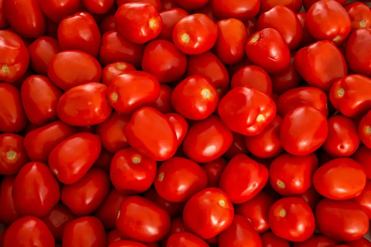 Inflación anual en México desacelera a 4.53% en primera quincena de abril