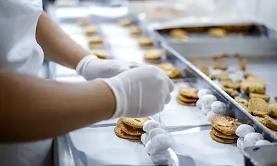 Abren convocatorias de apoyos para negocios afectados por violencia en Jalisco