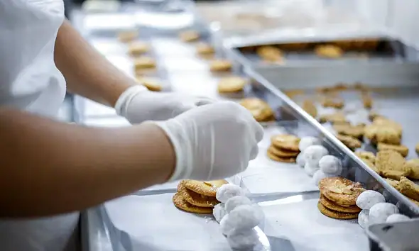 Abren convocatorias de apoyos para negocios afectados por violencia en Jalisco