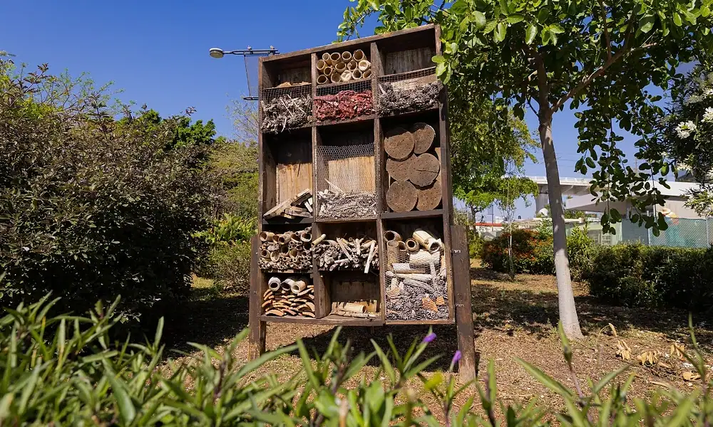 Cómo solicitar un jardín polinizador en Zapopan