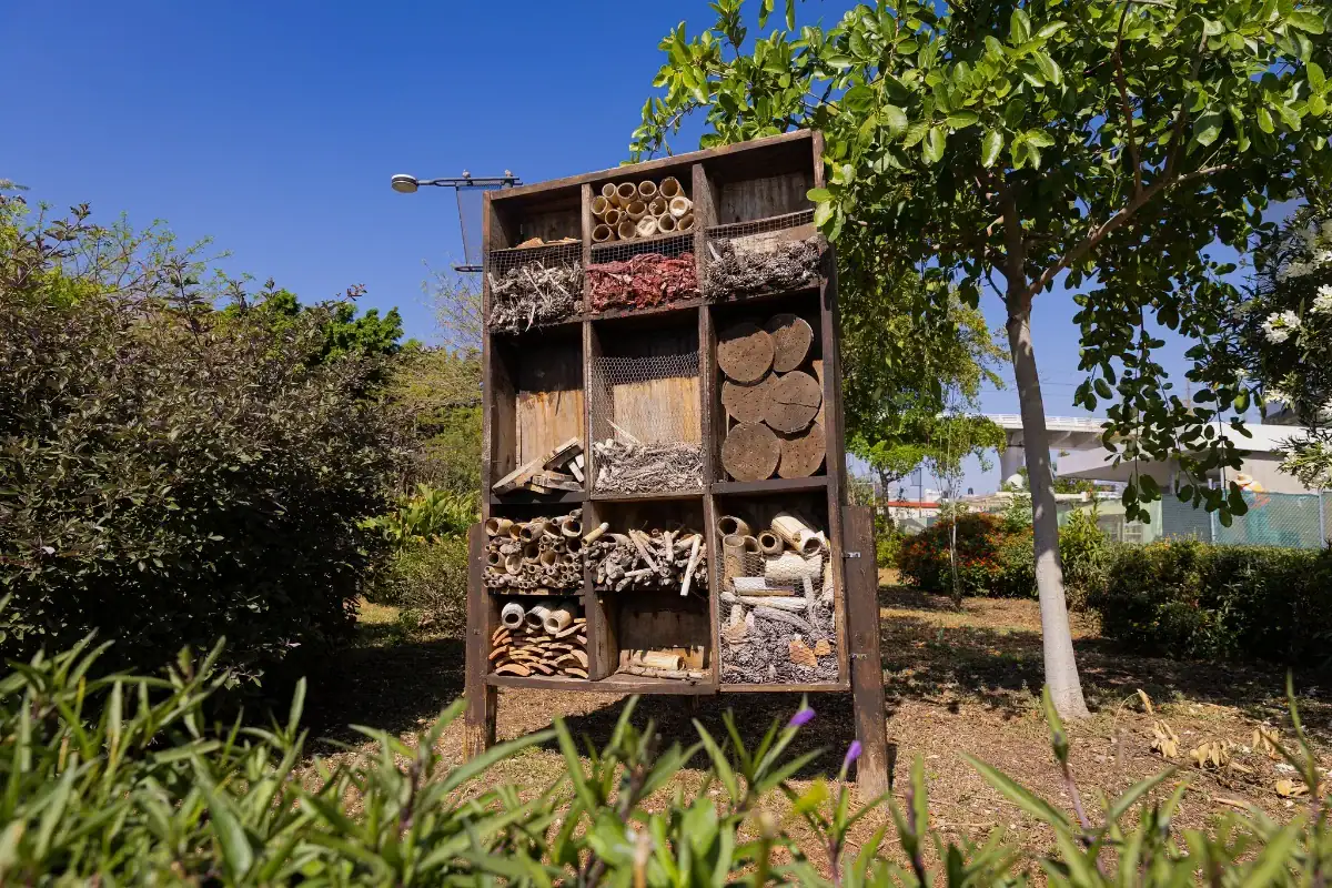 Cómo solicitar un jardín polinizador en Zapopan