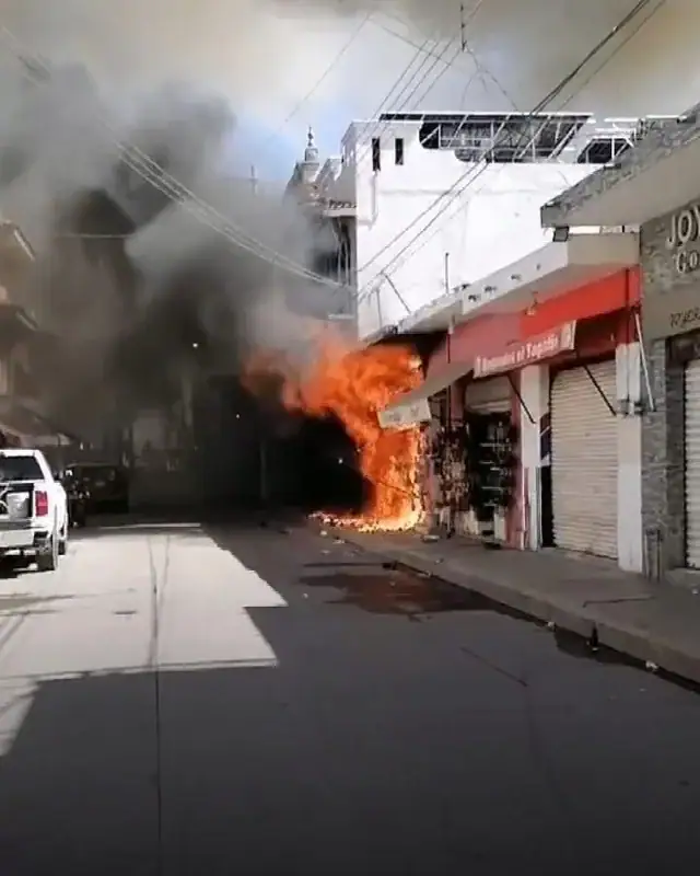 Detienen a “El Jardinero” en Nayarit; EE.UU pide su extradición
