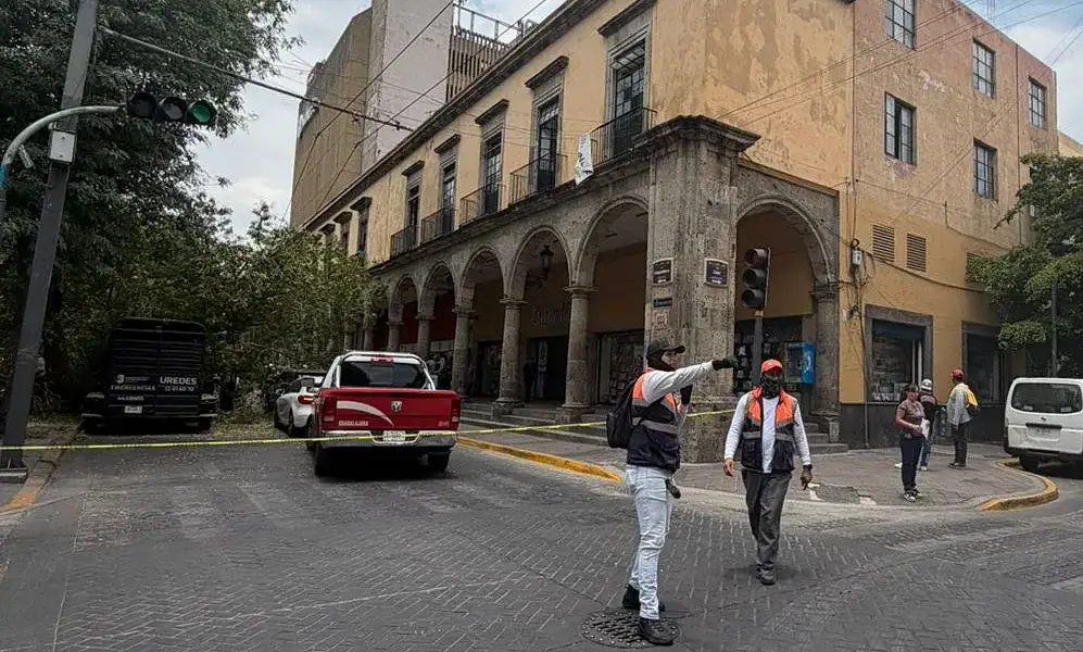 Cae árbol en la Rotonda de las y los Jaliscienses Ilustres; no hubo lesionados
