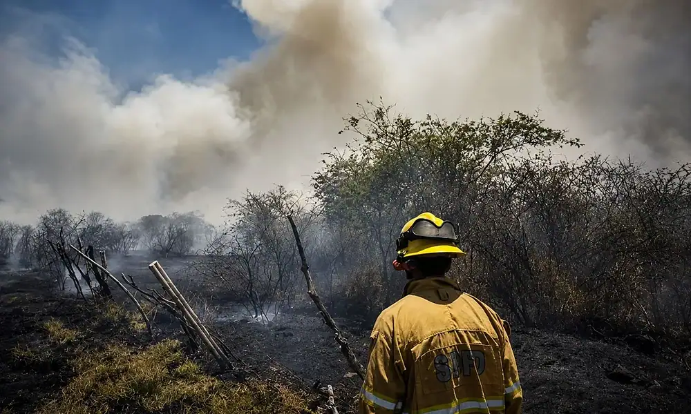 Jalisco reduce incendios y superficie afectada a mínimos de seis años
