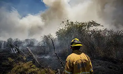 Jalisco reduce incendios y superficie afectada a mínimos de seis años