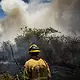 Jalisco reduce incendios y superficie afectada a mínimos de seis años