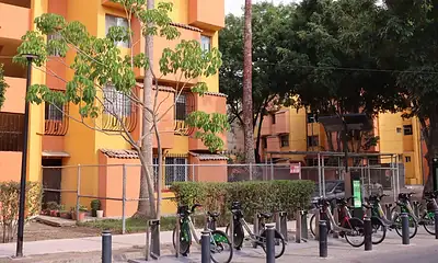 Más de 2 mil tapatíos buscan participar en el programa "Apoyo Renta para Jóvenes"