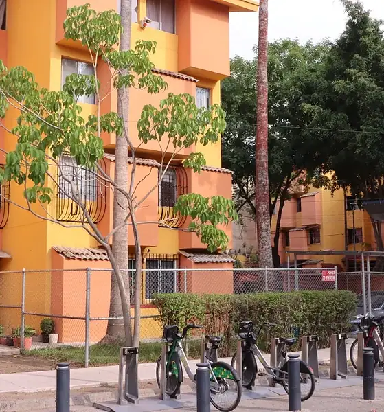 Más de 2 mil tapatíos buscan participar en el programa "Apoyo Renta para Jóvenes"