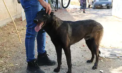 Rescatan a Capitán en Tlaquepaque; presunto agresor fue detenido