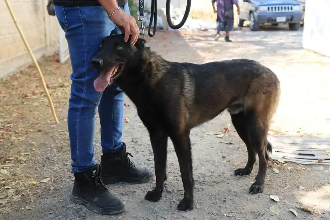 Rescatan a Capitán en Tlaquepaque; presunto agresor fue detenido