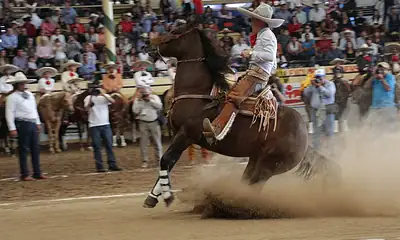 Charro Millonario traerá visitantes y derrama económica a Tlajomulco