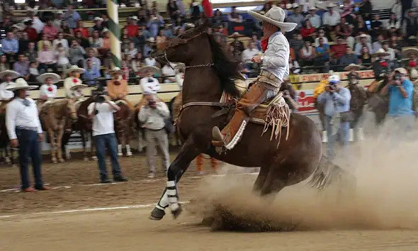 Charro Millonario traerá visitantes y derrama económica a Tlajomulco