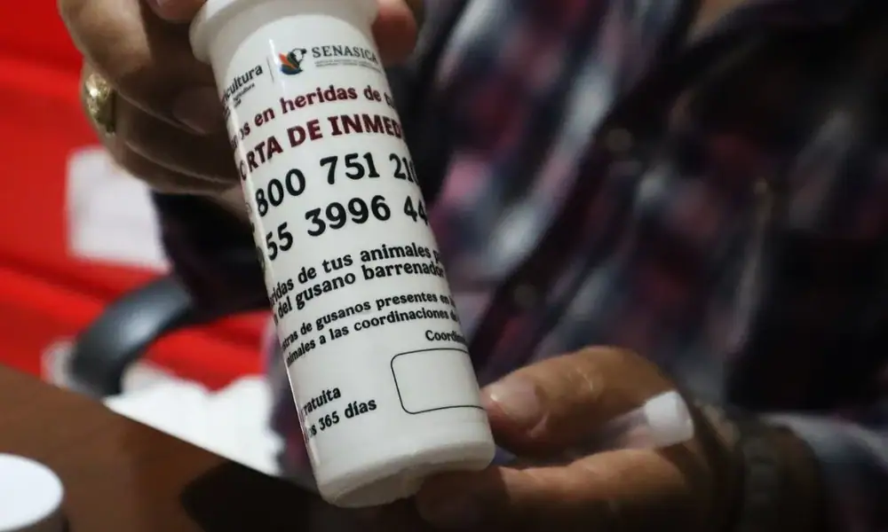 ¿Cómo detectar el gusano barrenador? Capacitan a ganaderos de Tlajomulco