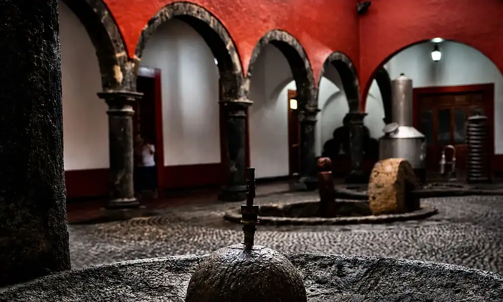 Museo Nacional del Tequila reabre con exposición y entrada gratuita