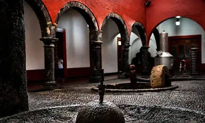 Museo Nacional del Tequila reabre con exposición y entrada gratuita