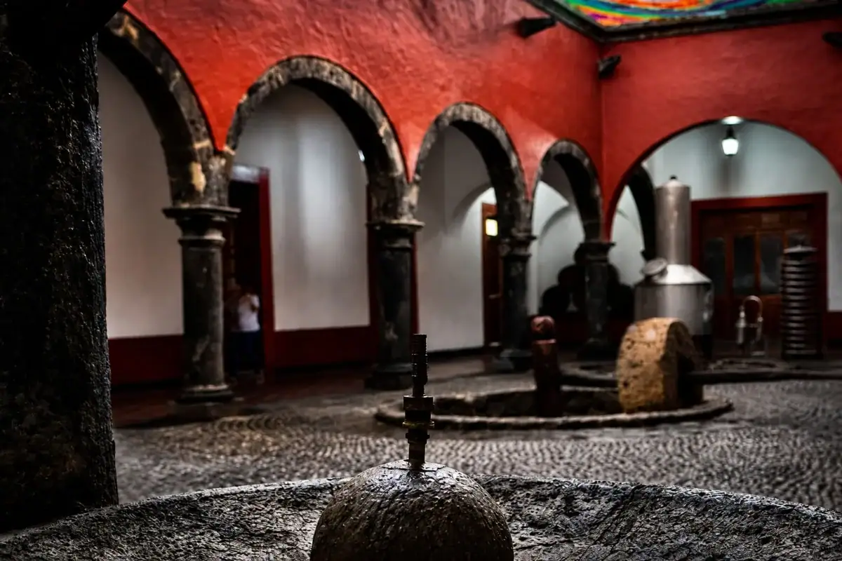 Museo Nacional del Tequila reabre con exposición y entrada gratuita