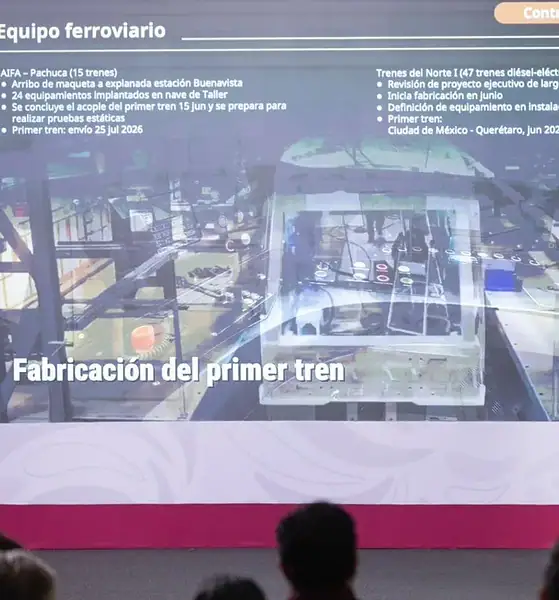 Federación licitará ya tramos del tren de pasajeros hacia Guadalajara